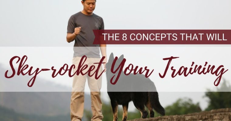 The 8 Dog Training Concepts You Need To Teach Your Dog Right Now