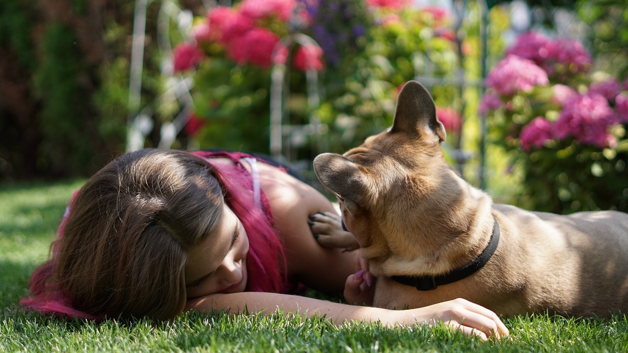 how to stop a dog from barking in garden image