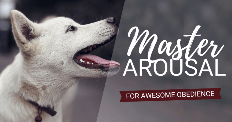 Stress in Dogs: Master Arousal & Transform Your Training