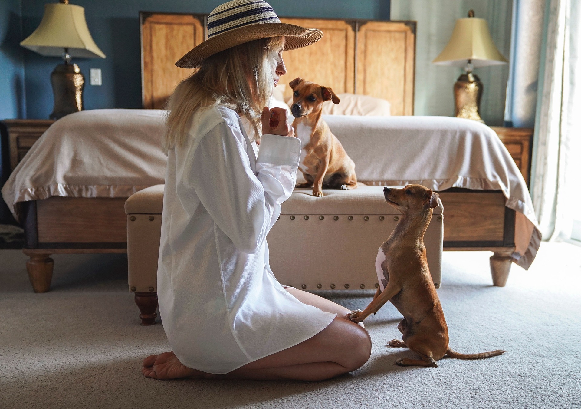 Woman clicker training two dogs at home