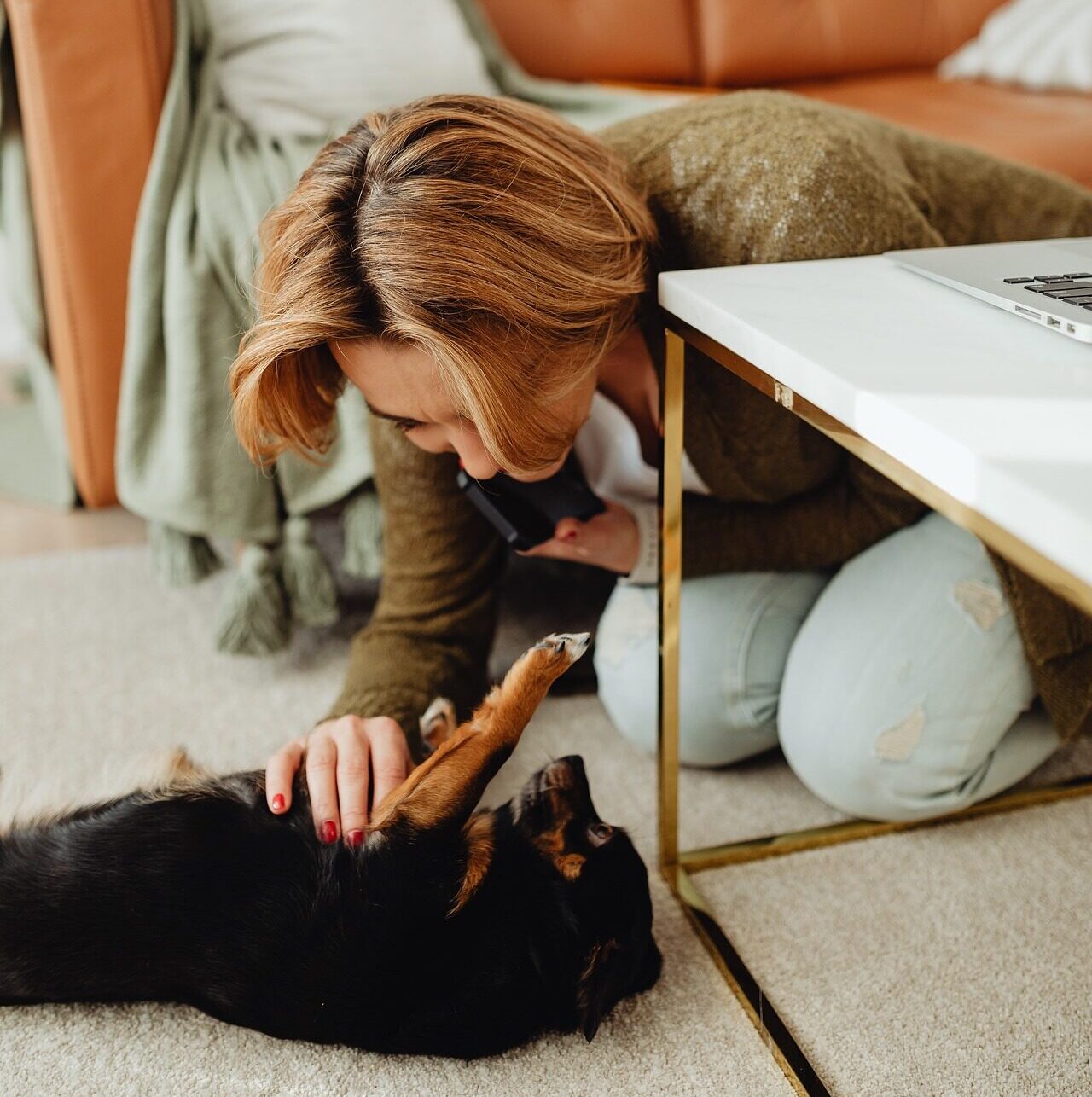 Dog and owner playtime