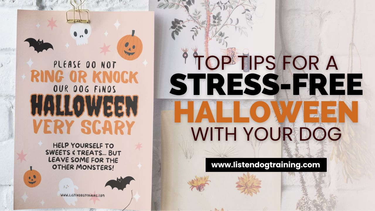 Halloween Tips For Dogs: Helping Reactive Dogs Cope + Our Free Friendly Printable