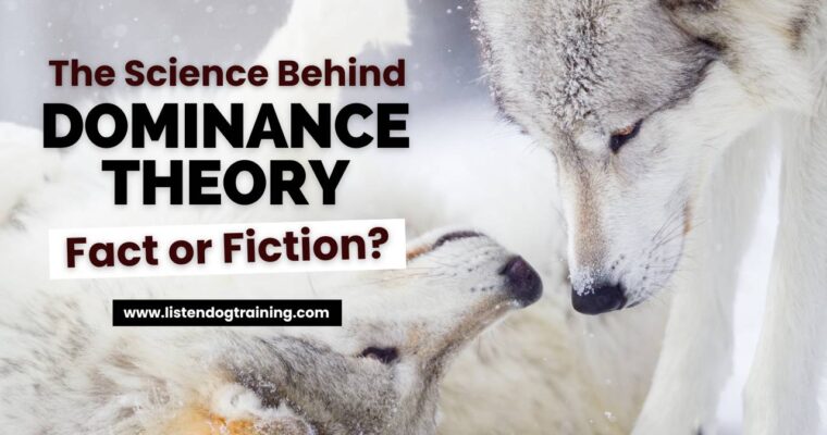 The Science Behind Dominance Theory in Dogs: Fact or Fiction?