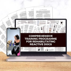 Reactivity training pack