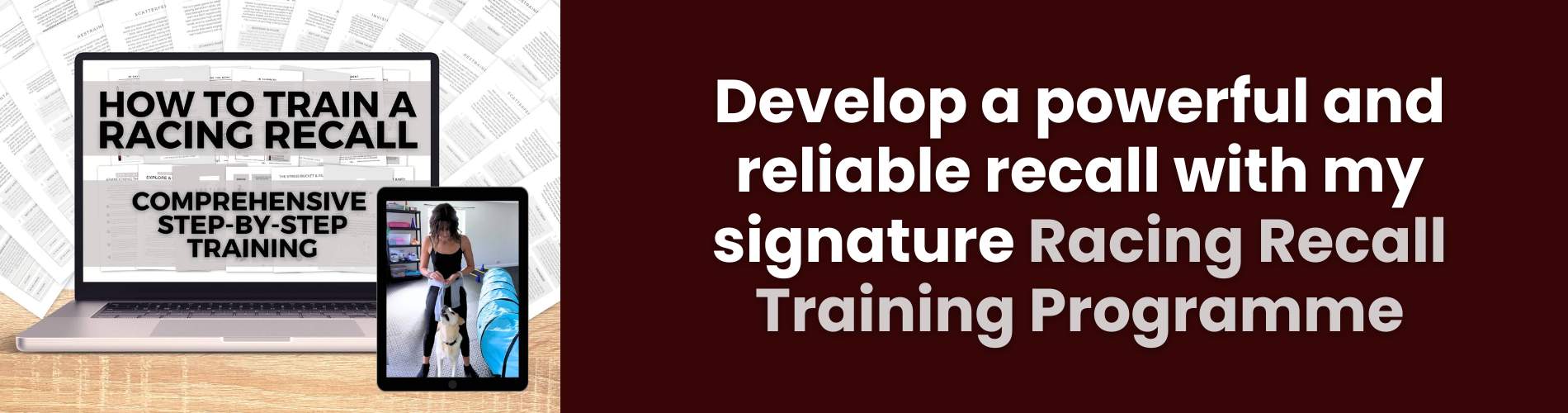 Recall training guide linktree banner